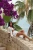 -28156.webp